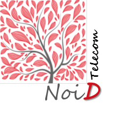 Logo NoiD